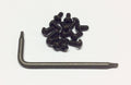 Ralph Schweizer Modeltechnic CRS Spinner Screw Set (14)