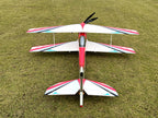 BJ Craft Biside LS (Less Sweepback) ARF Airframe