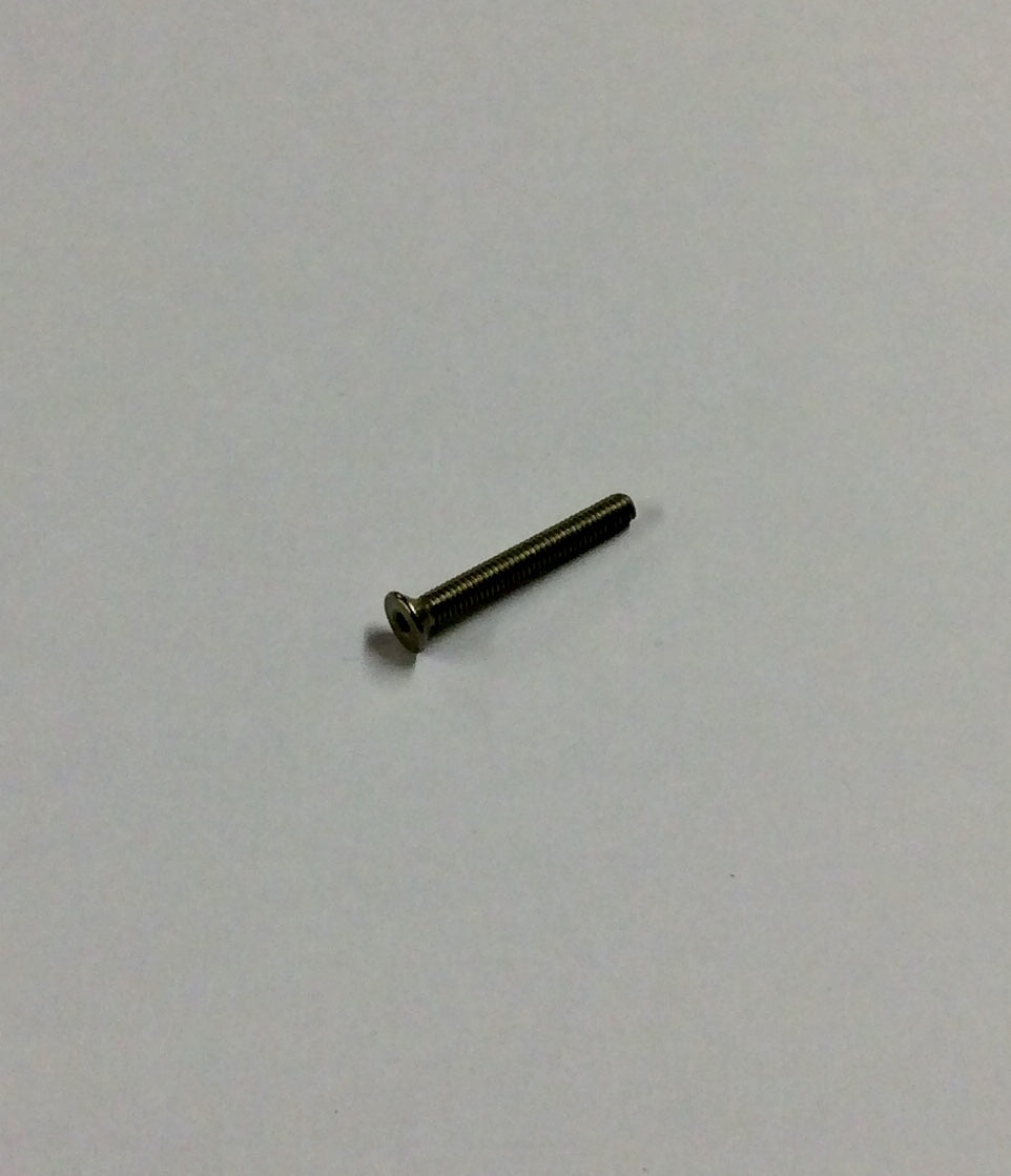 Ralph Schweizer Modeltechnic M2.5 X 20 Stainless Steel CSK Screws