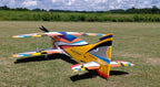 Hui Yang Professional F3A Epsilon Bipe EP RC Model Aircraft