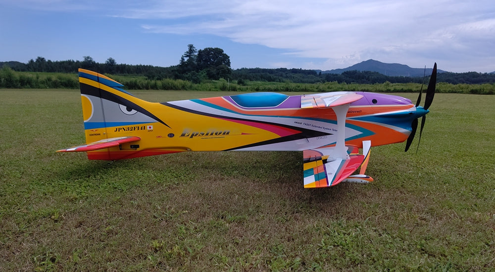 Hui Yang Professional F3A Epsilon Bipe EP RC Model Aircraft