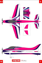 CK Aero Pioneer 2 Metre Full Composite RC Airplane