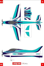 CK Aero Pioneer 2 Metre Full Composite RC Airplane