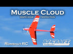 BJ Craft Exceed / Muscle Cloud Bipe ARF Airframe