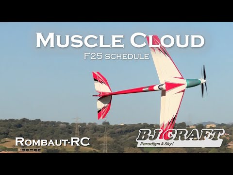 BJ Craft Exceed / Muscle Cloud Bipe ARF Airframe